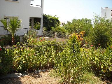 Mooie zeezicht en zicht op diverse eilanden, Bodrum